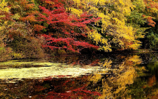 500660 (a): :2560x1600